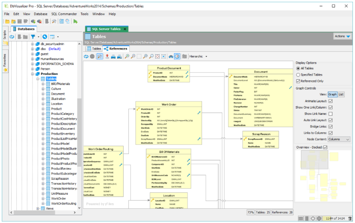 DbVisualizer: A Cross-Platform Database Tool for Developers