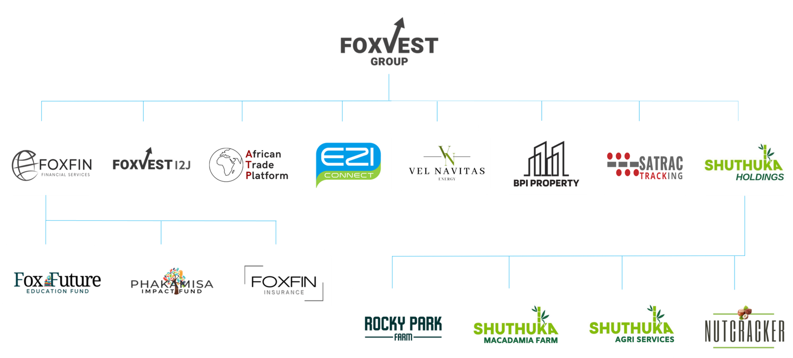 Foxfiny Com: What the Platform Actually Offers and How It Works